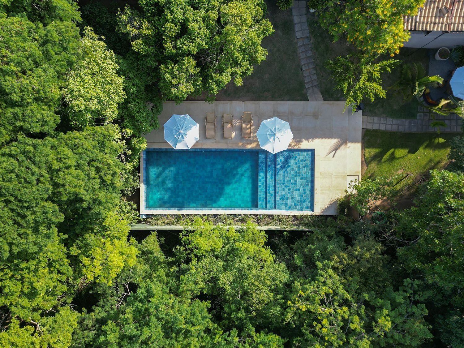 Vista aérea de uma piscina retangular com dois guarda-sóis, rodeada por árvores verdejantes.