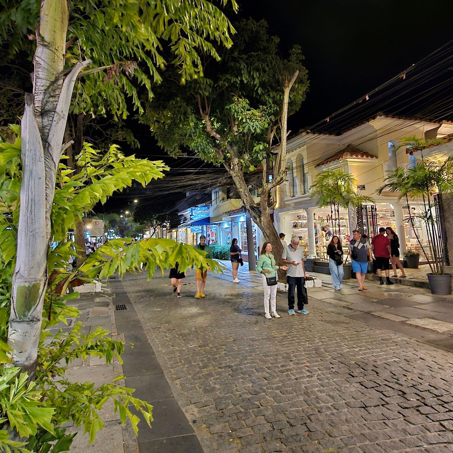 Rua de paralelepípedos à noite, com lojas iluminadas e pedestres sob árvores frondosas.