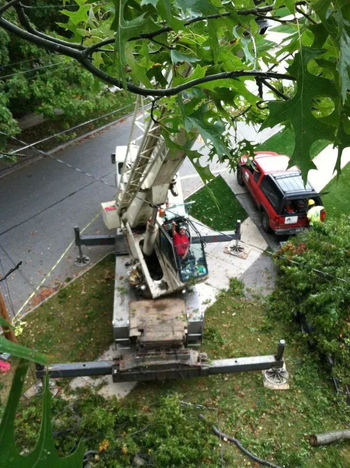 Workers Cut The Damage Tree Due To The Storm - Millersburg, Ohio - A New Leaf Tree Service Workers Cut The Damage Tree Due To The Storm - Millersburg, Ohio - A New Leaf Tree Service