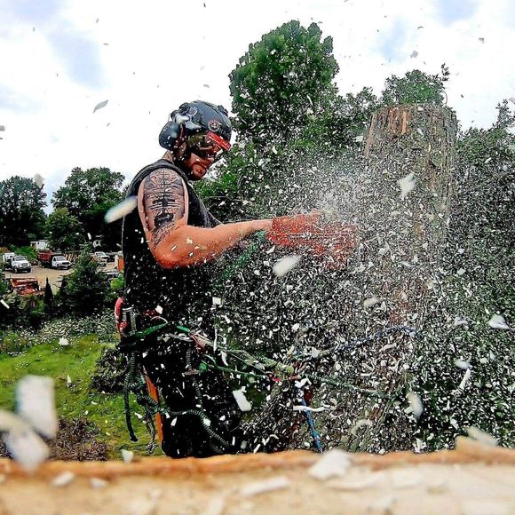 Arborist Cuts Tree With Chainsaw — Millersburg, Ohio — A New Leaf Tree Service Arborist Cuts Tree With Chainsaw — Millersburg, Ohio — A New Leaf Tree Service