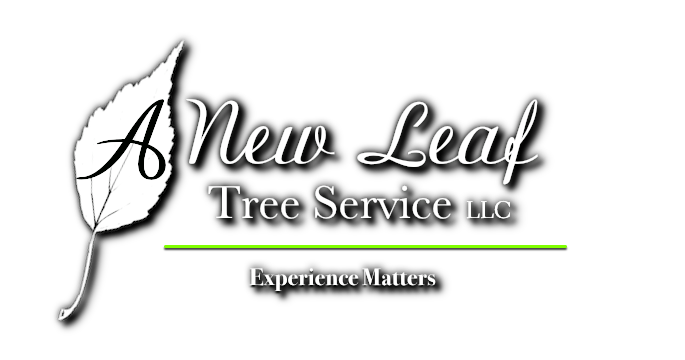 A New Leaf Tree Service A New Leaf Tree Service