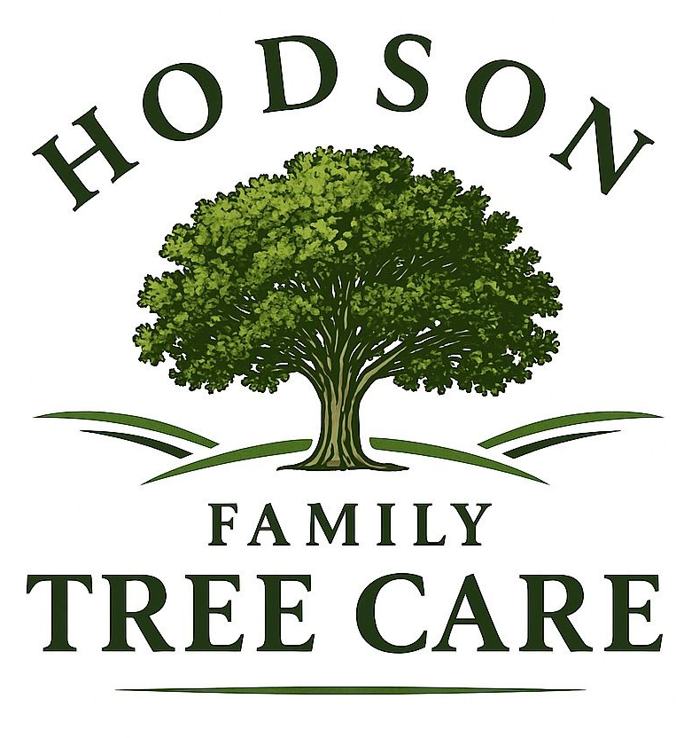 Hodson Family Tree Care