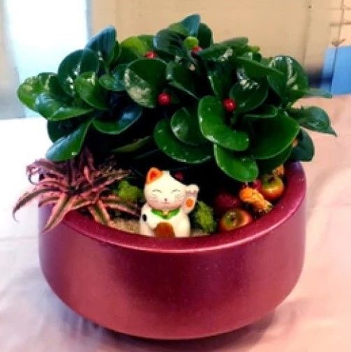 一個小巧的圓形栗色花盆，裡面種著綠色植物、紅色漿果和一個招財貓擺飾。