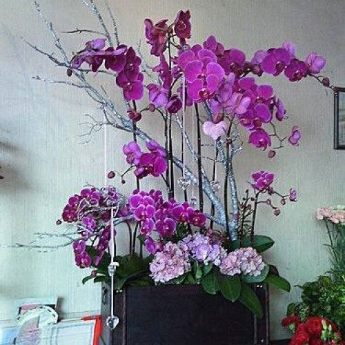 紫色蘭花和繡球花插在深色長方形容器中，枝條塗成銀色。