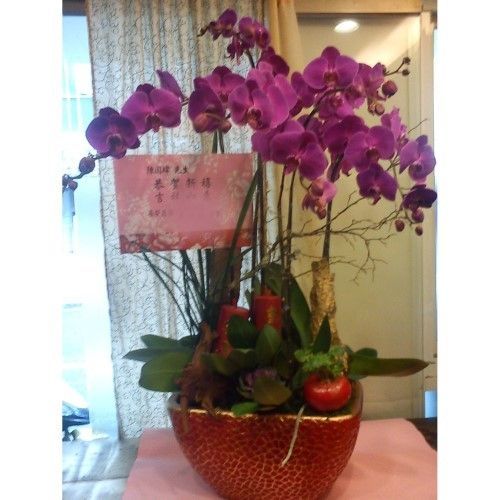 紅色裝飾花盆裡插著紫色蘭花，旁邊還有一張卡片，可能是一份禮物。
