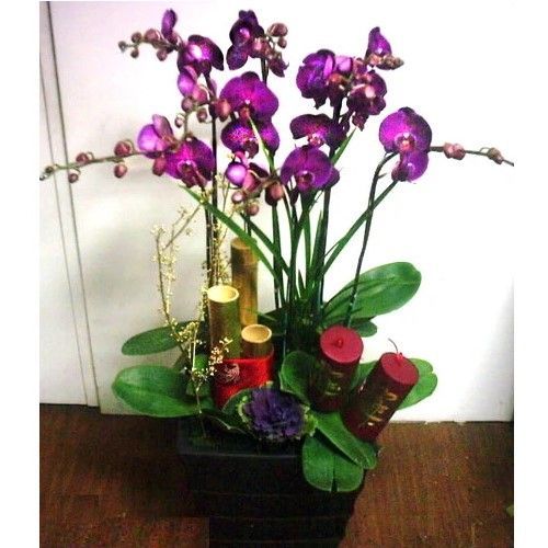 紫色蘭花擺放在黑色方形花盆中，旁邊放有竹子和紅色蠟燭。