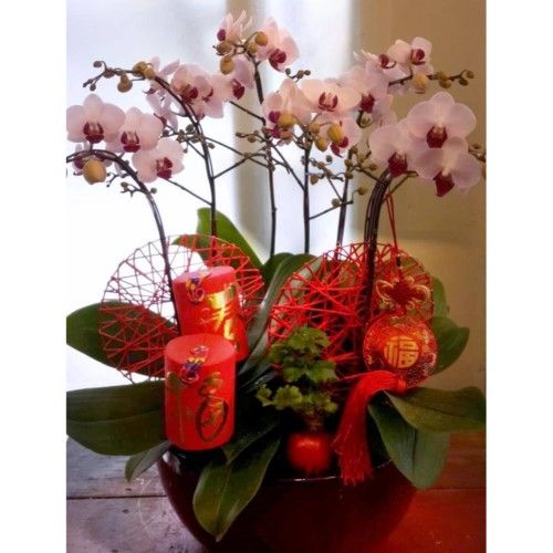 棕色花盆裡插著白色蘭花，飾以紅色飾品和紅色蠟燭，可能是為了慶祝活動。
