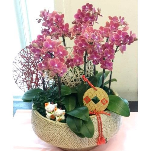 裝飾碗中盛裝著粉紅色蘭花，周圍環繞著綠葉、幸運符和貓咪擺飾。
