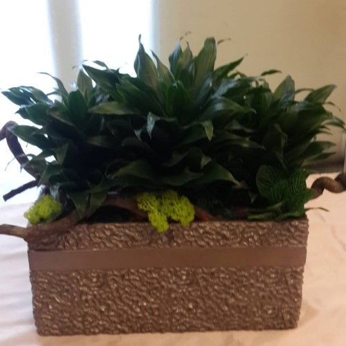 棕色長方形紋理花盆中栽種綠葉植物，並配有木質裝飾。