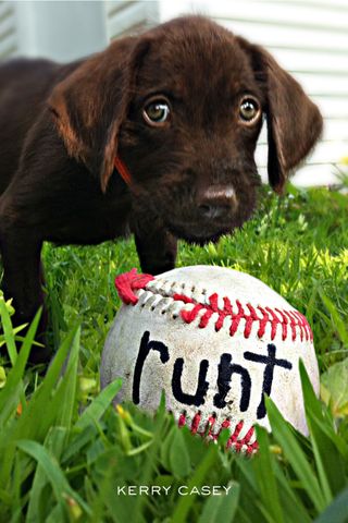A book cover for runt by Kerry Casey