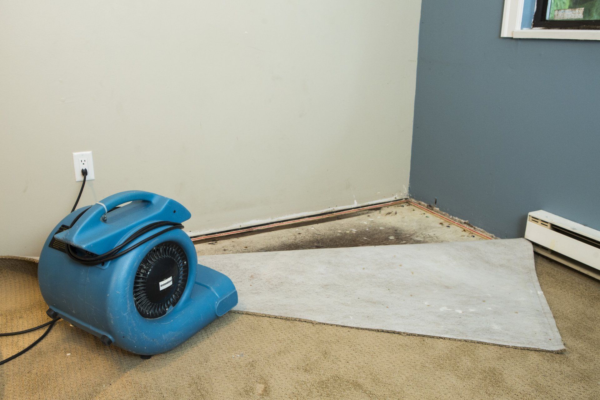 blow drying wet surface area