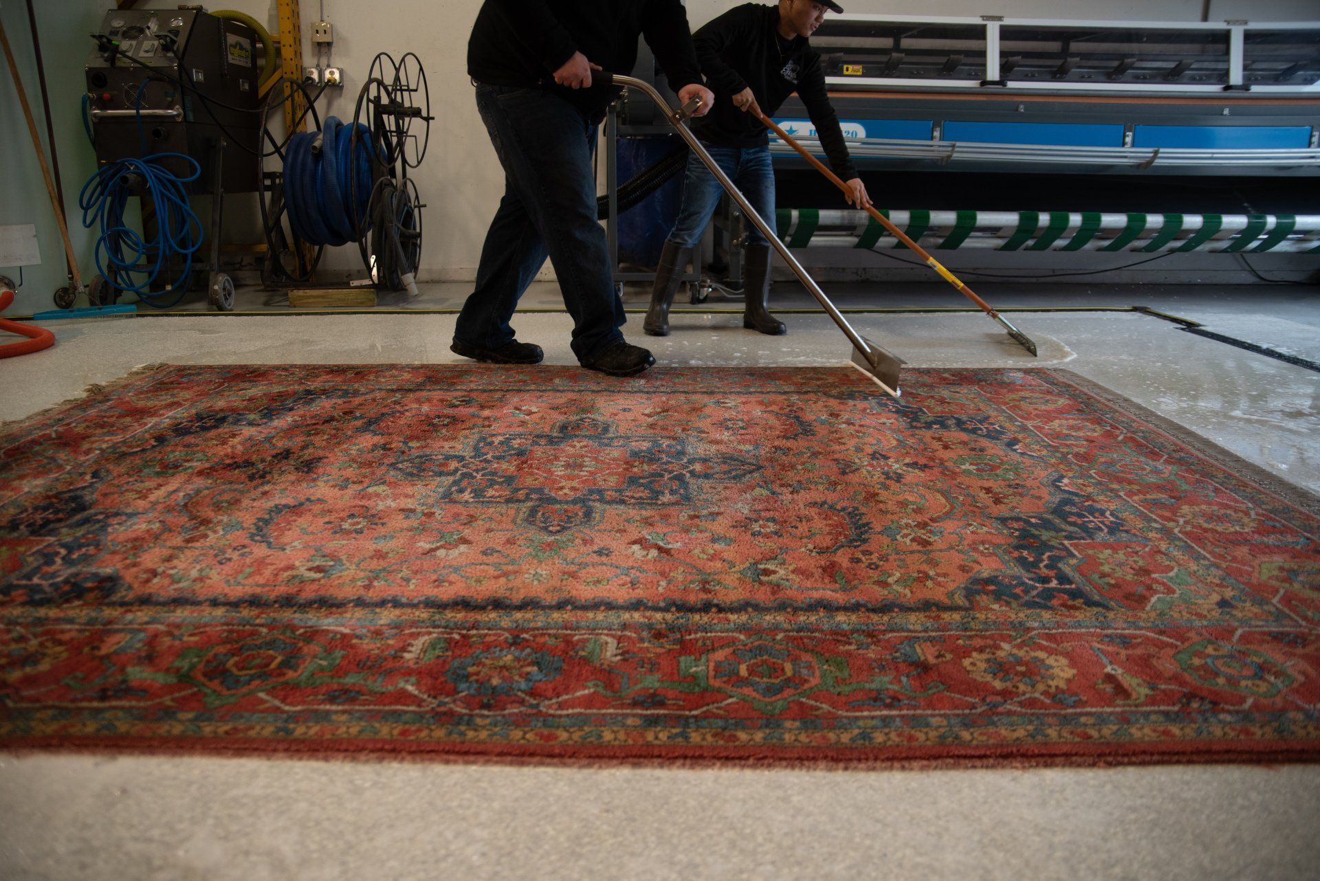 scrubbing the carpet