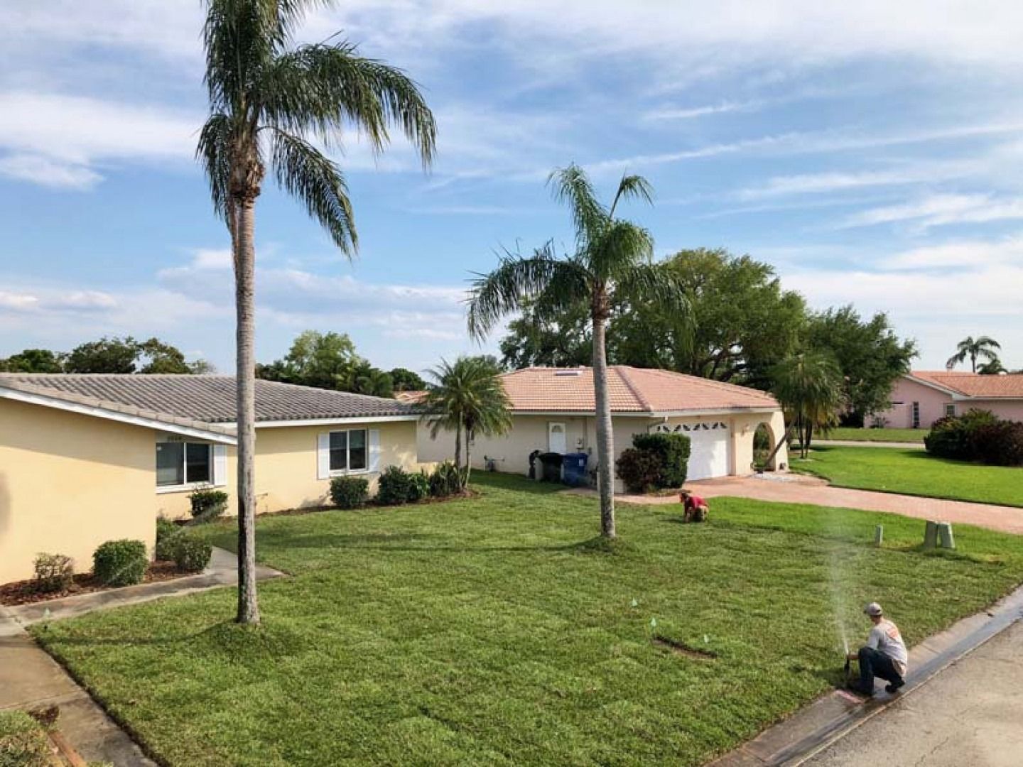 Suburban homes with a large green lawn, palm trees, and a person kneeling near the sidewalk.