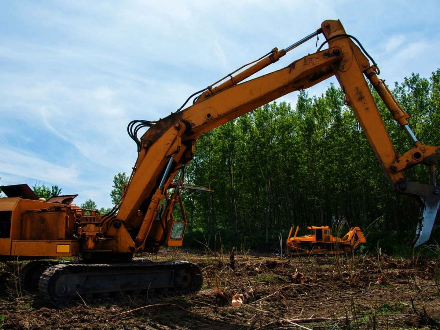 Orange excavator clearing brush in a wooded area under a blue sky