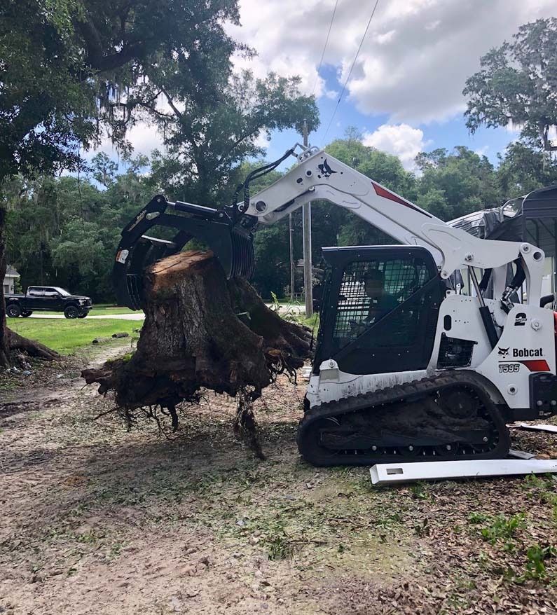 White Bobcat skid-steer lifting a large tree stump with roots in a wooded yard