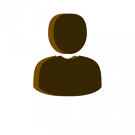 Brown user silhouette icon on a white background
