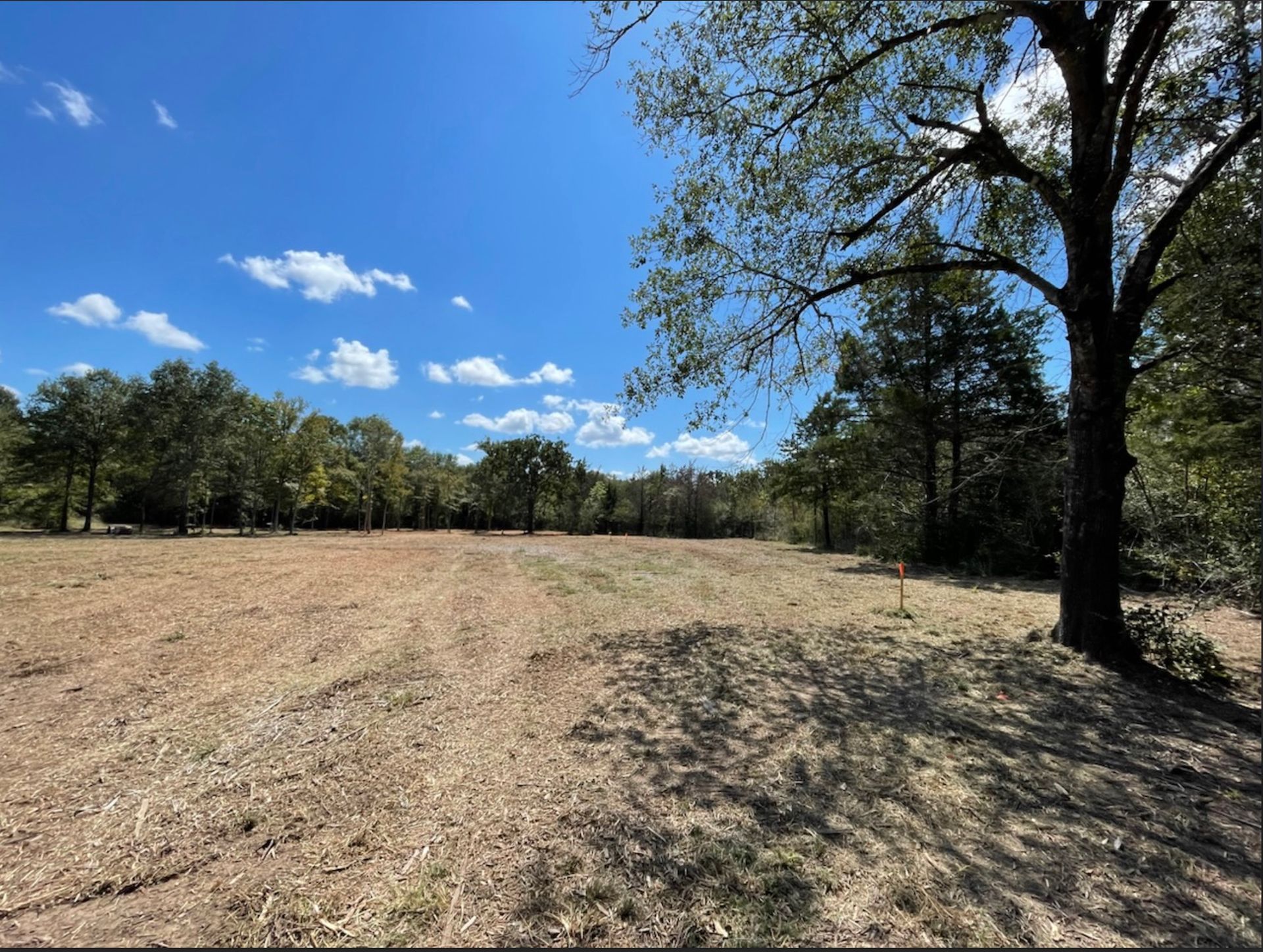 Clearing in a field with trees in the background under a blue sky with scattered clouds.