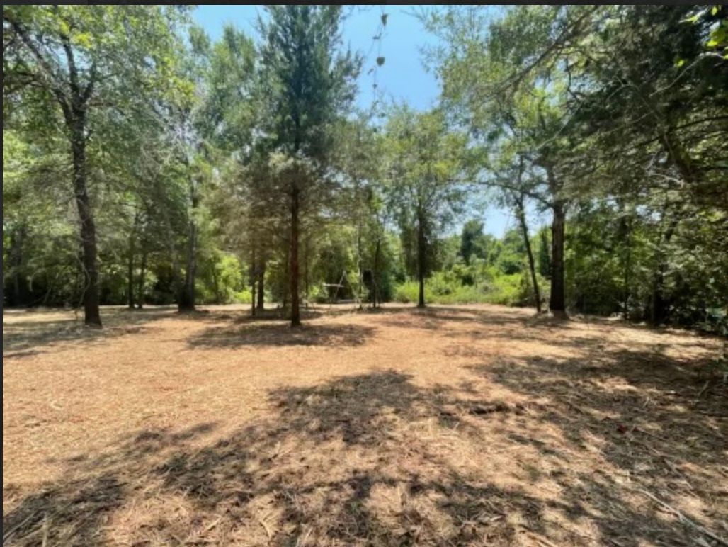 Open grassy clearing surrounded by trees. Overcast, natural light.