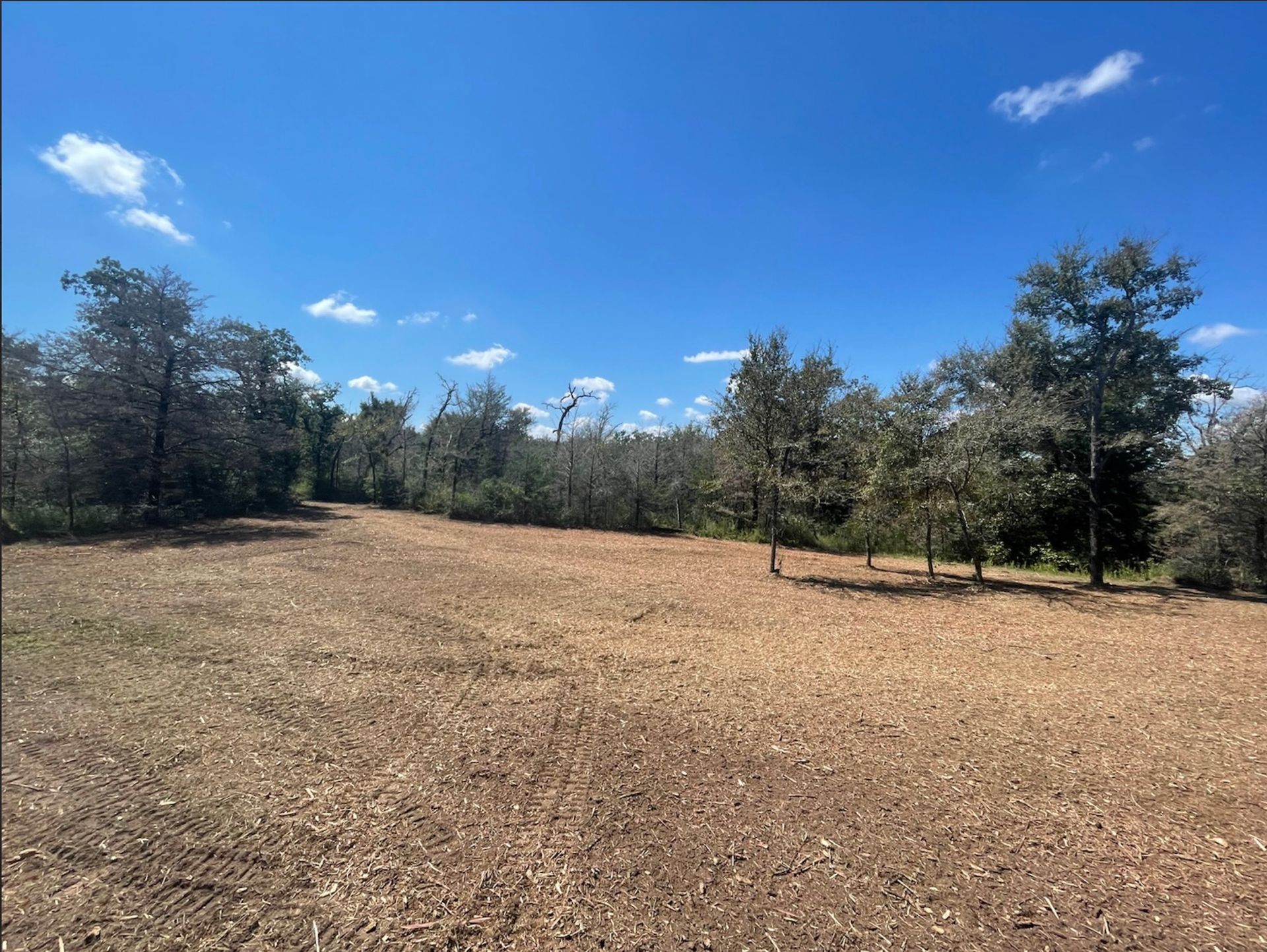 Cleared field with trees lining the edges, under a bright blue sky with clouds.