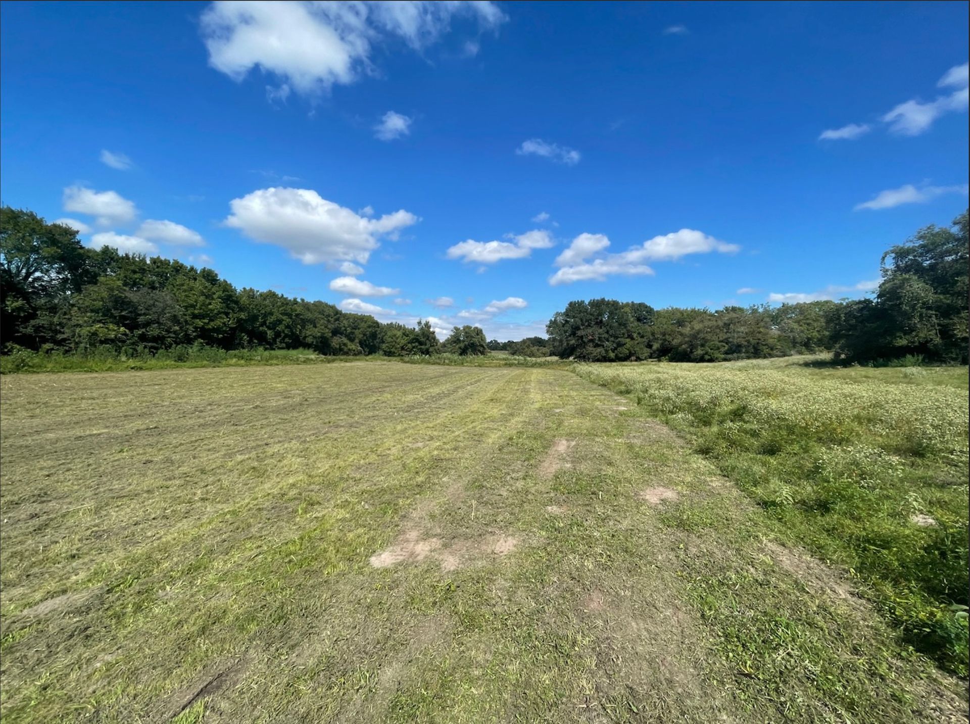 Field under blue sky with scattered clouds, surrounded by trees.