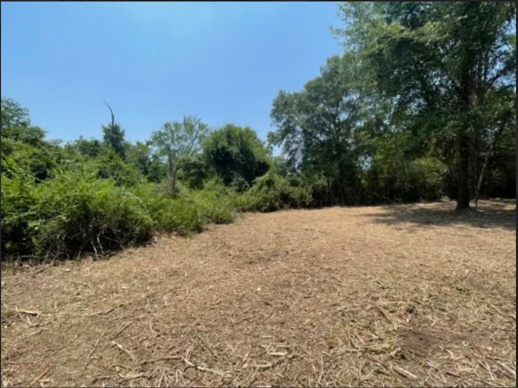 Cleared field with dry grass, bordered by green trees and bushes under a blue sky.