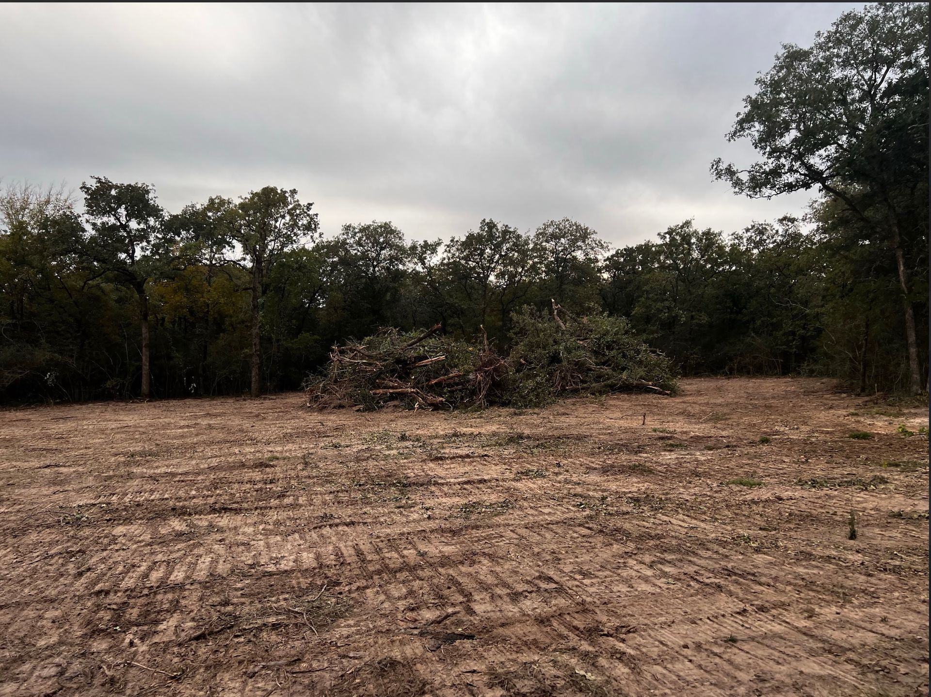 Cleared land with a pile of brush in the center, trees in the background, and a cloudy sky.