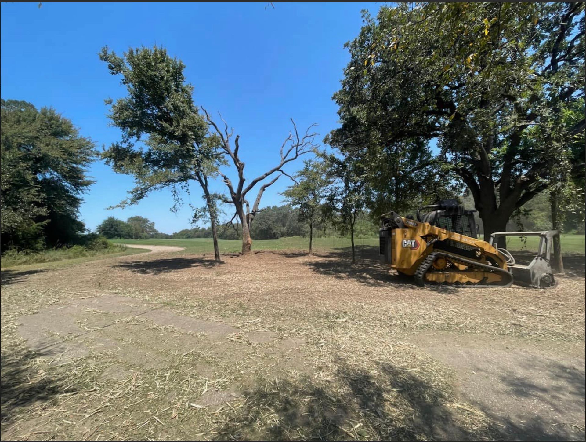A skid steer clearing land with scattered wood chips near trees under a bright blue sky.