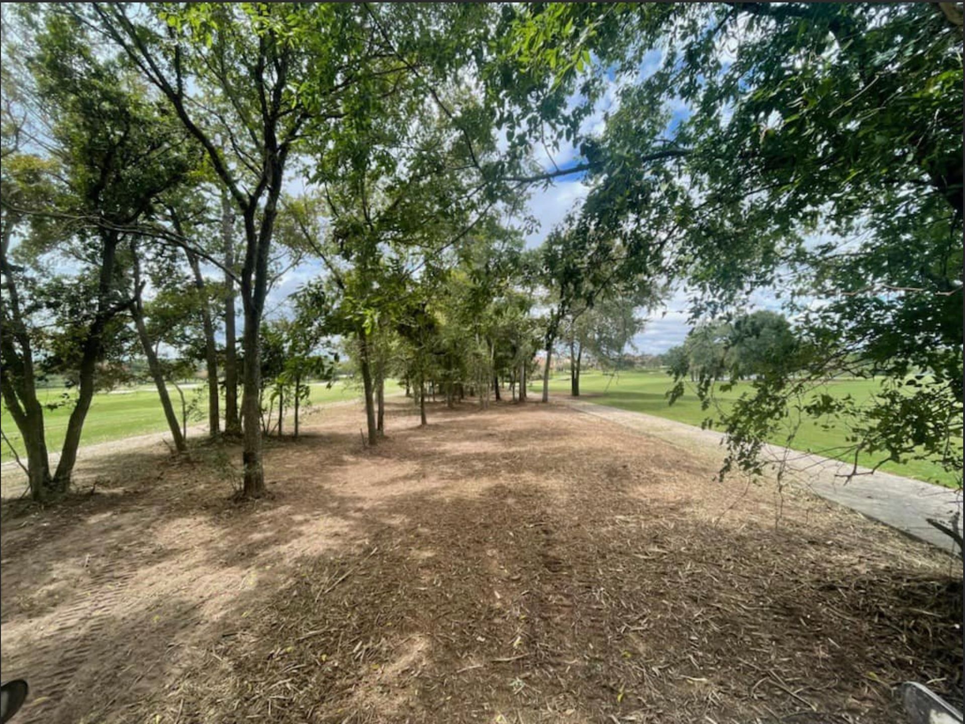 Trees frame a view of a grassy golf course, with a wood-chipped area in the foreground under a bright sky.
