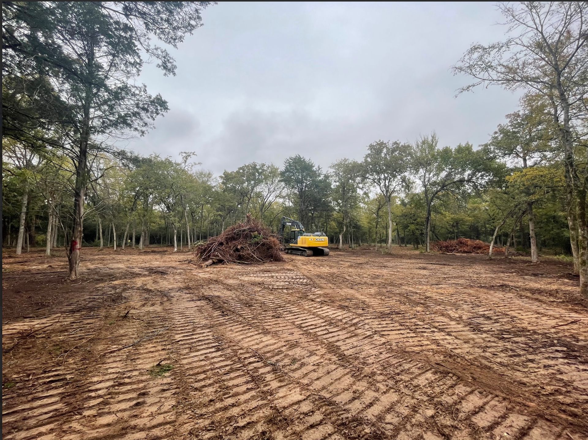 Clearing of a wooded area with an excavator, piles of brush, and muddy ground.