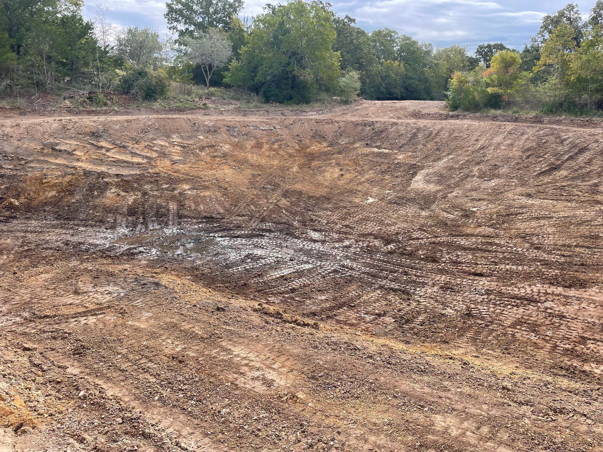 A dry, muddy pond bed; brown and tan earth with slight water accumulation, surrounded by trees.