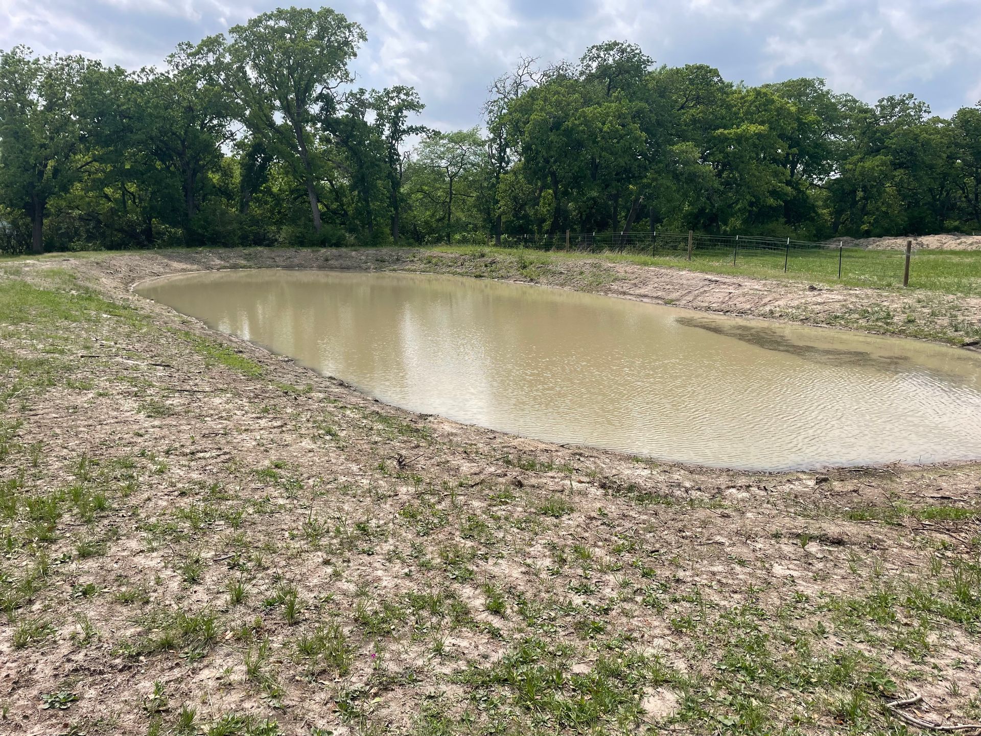 Muddy pond in a grassy field, surrounded by dirt banks and trees under an overcast sky.