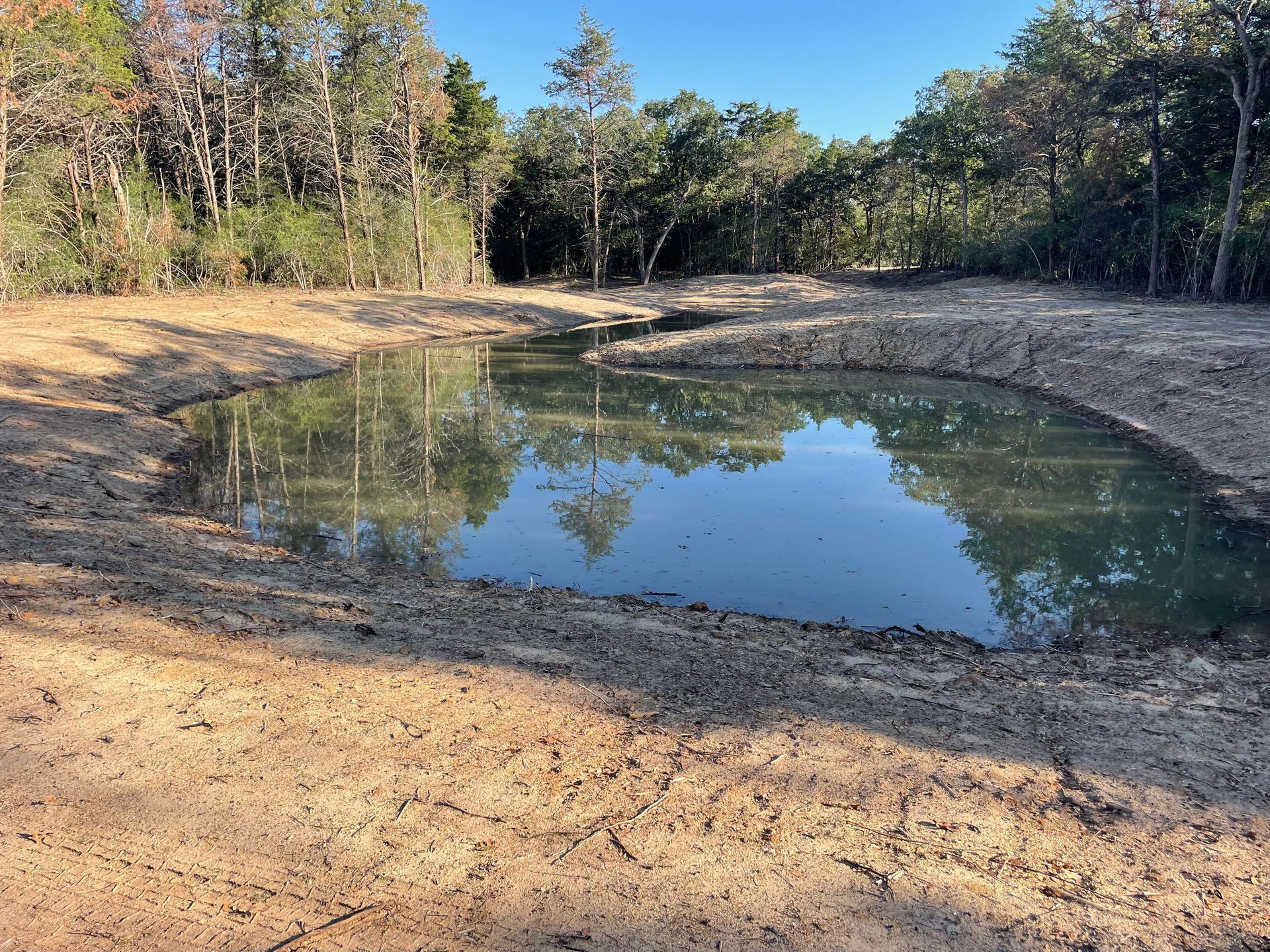 A small, muddy pond reflecting trees, surrounded by dirt and trees on a sunny day.