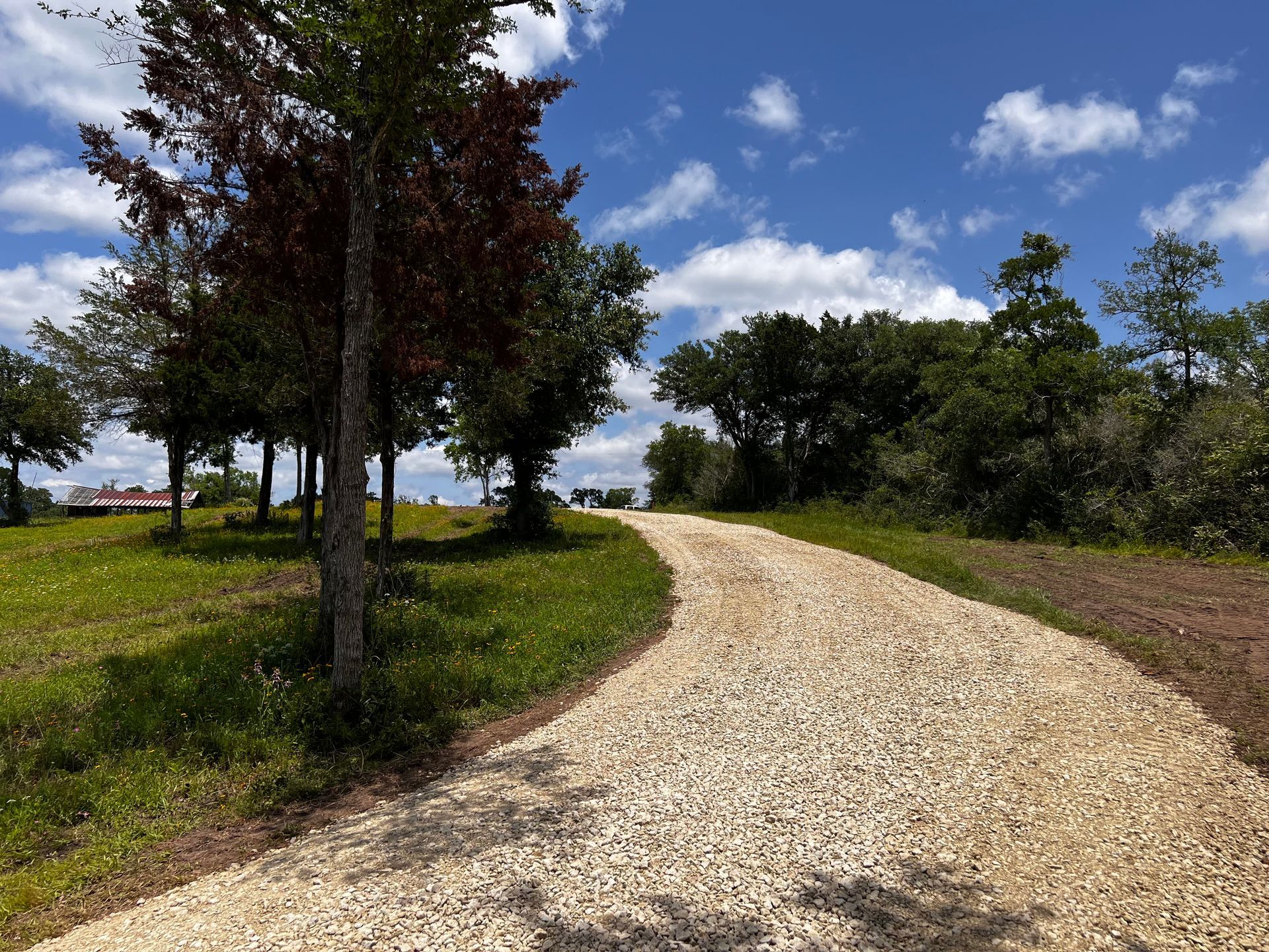 Gravel road curves uphill through grassy field, trees on either side, blue sky with clouds above.