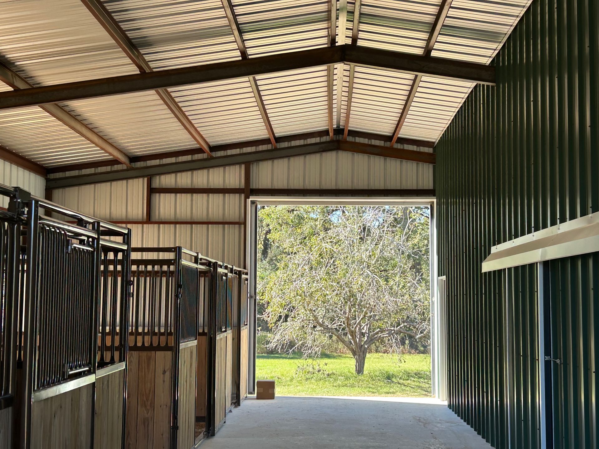 Inside a green metal horse stable with stalls, looking out onto a sunny tree.