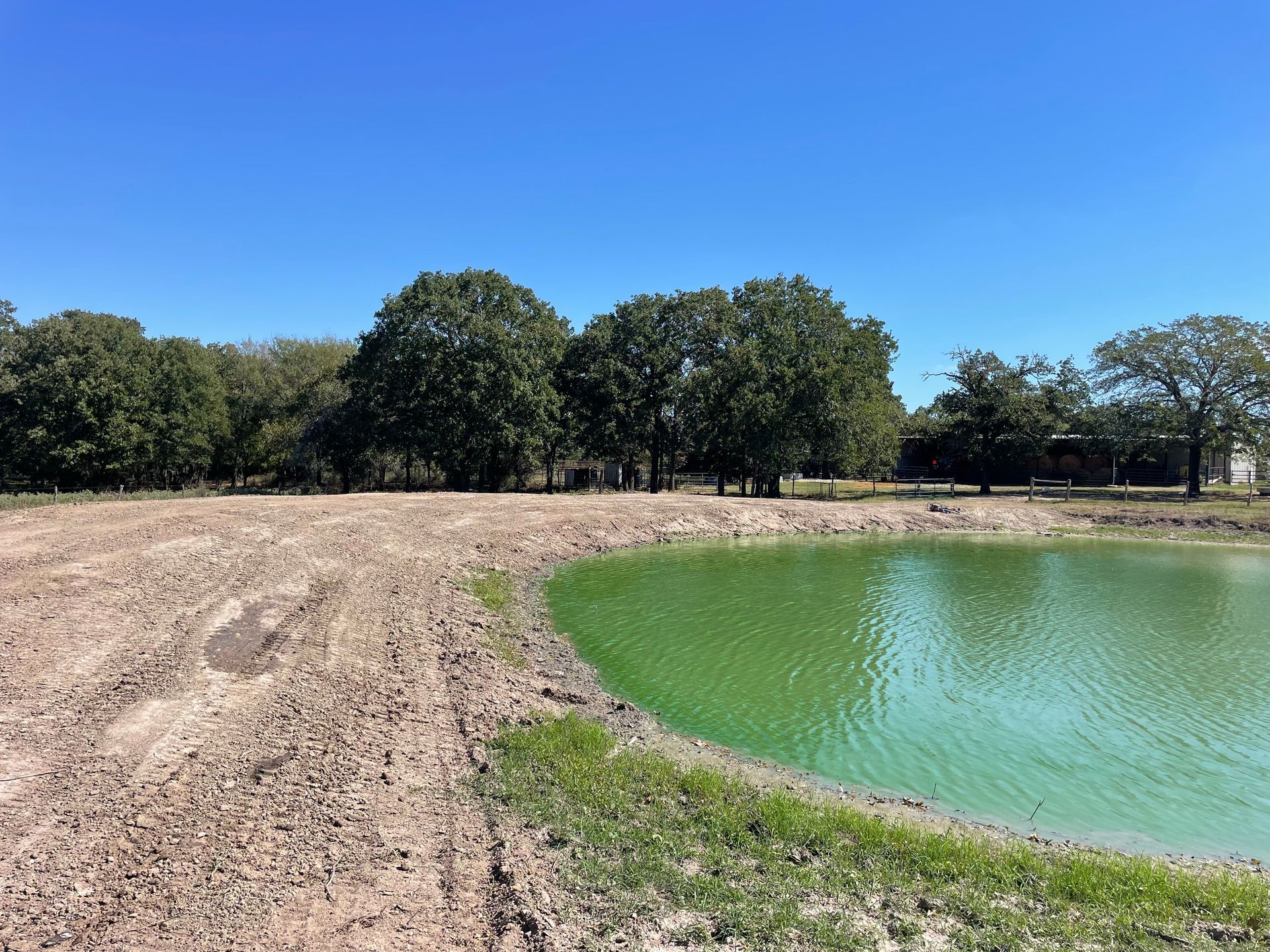 A pond with green water and a muddy bank, trees in the background under a blue sky.