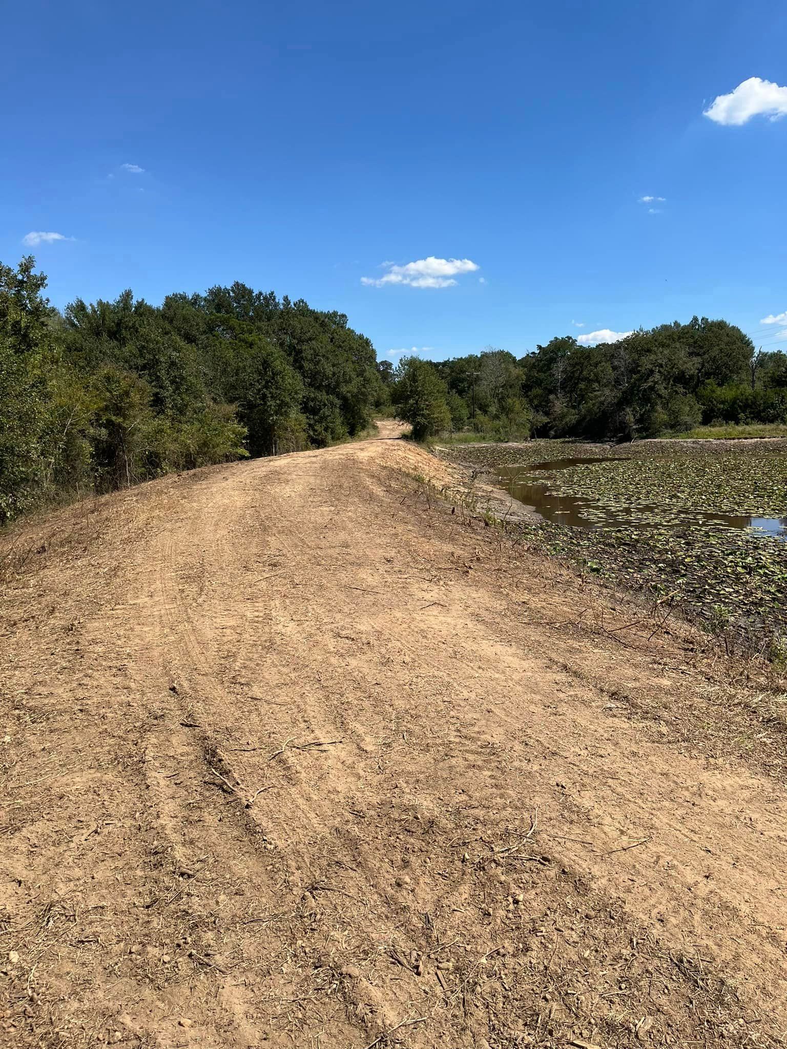 Dirt road leading to trees, beside a body of water with lily pads, under a blue sky.