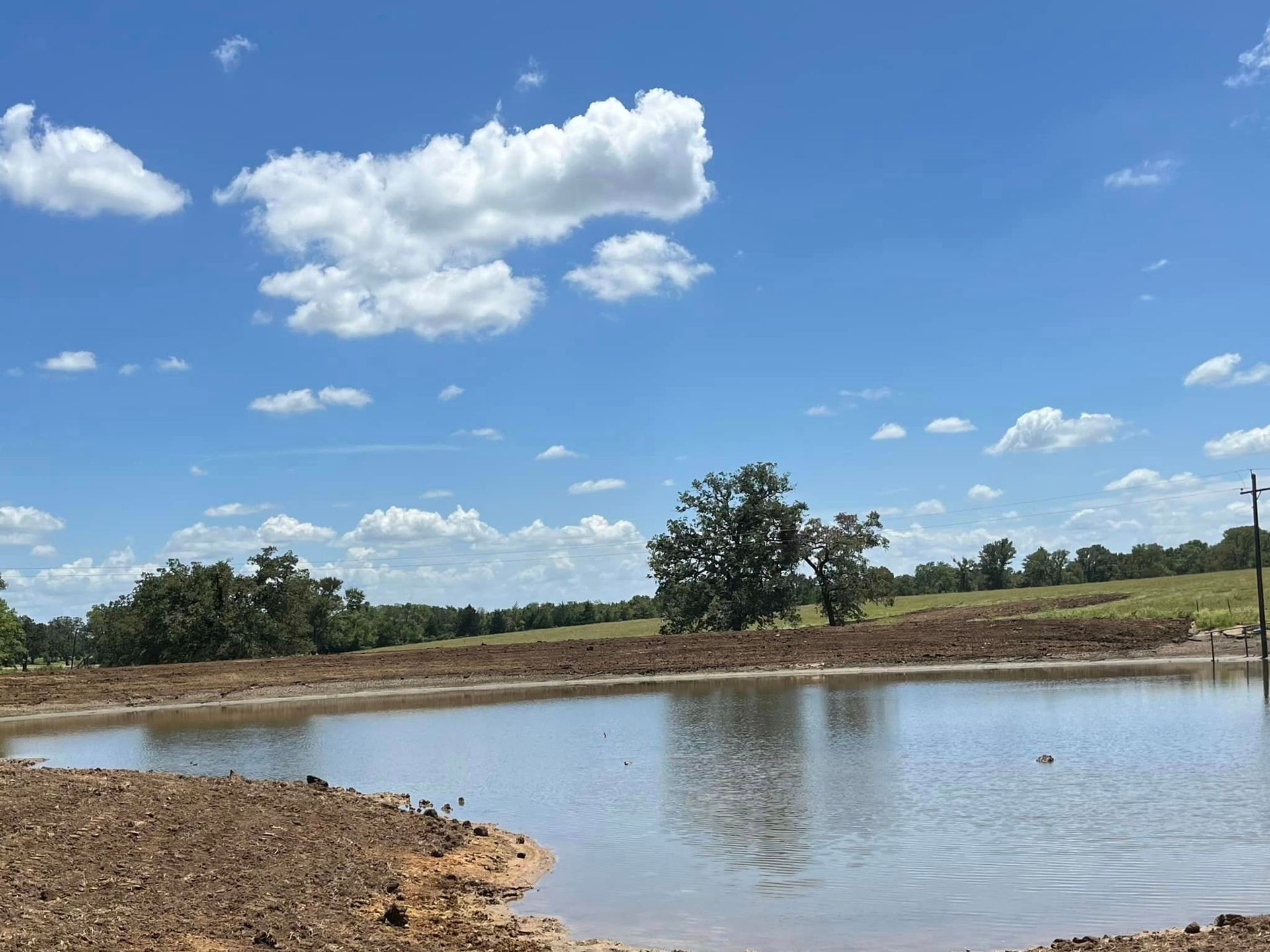 A sunny day at a pond with a blue sky filled with puffy white clouds and trees in the background.