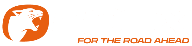 Qualified Mechanic in Bowral
