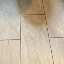 Close-up of light wood-look floor tiles with beige grain and grout lines
