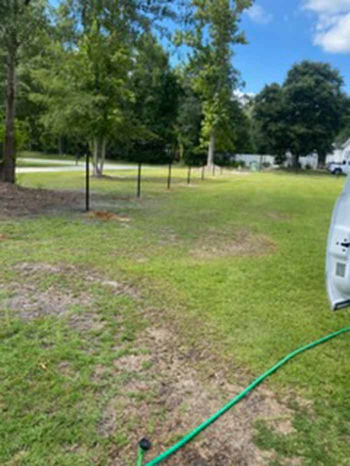 Grassy park with trees, a green hose on the ground, and a white vehicle at the right edge.