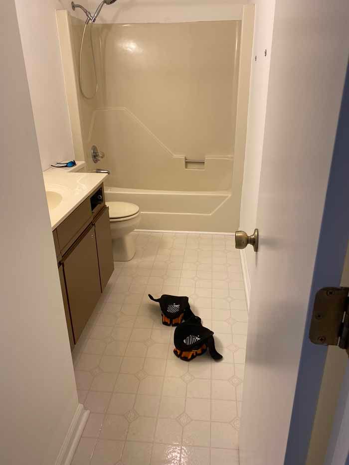 Bathroom with a bathtub, sink cabinet, and two small black dogs on the tile floor.