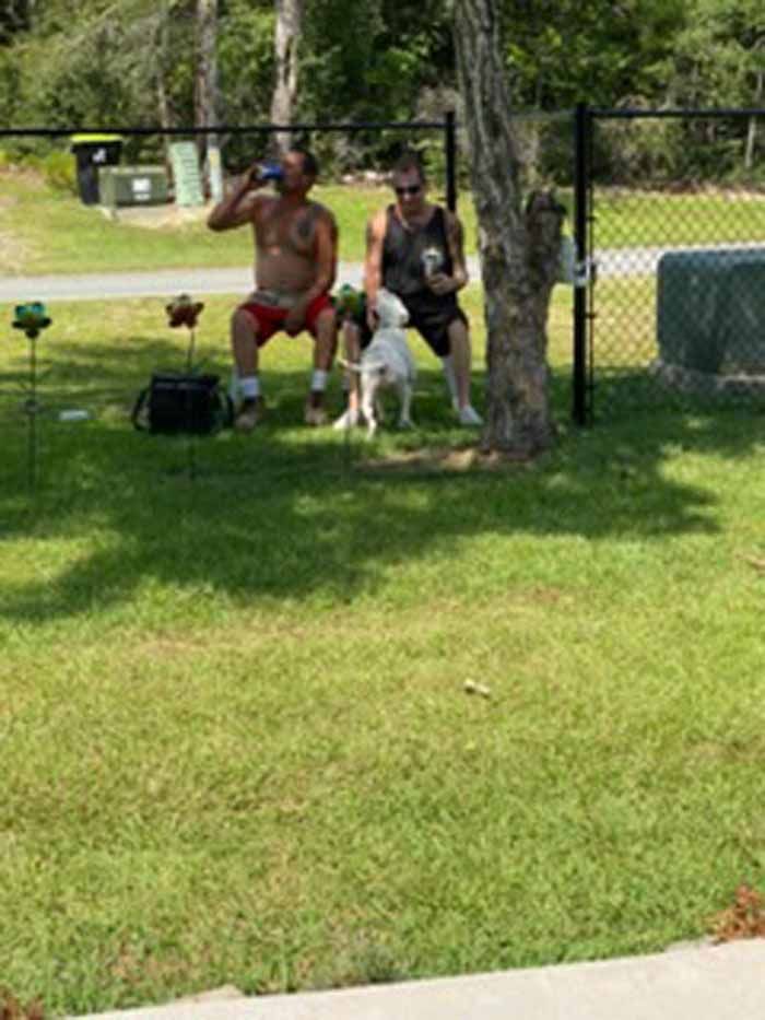 Two people sitting under a tree with a white dog in a fenced grassy yard