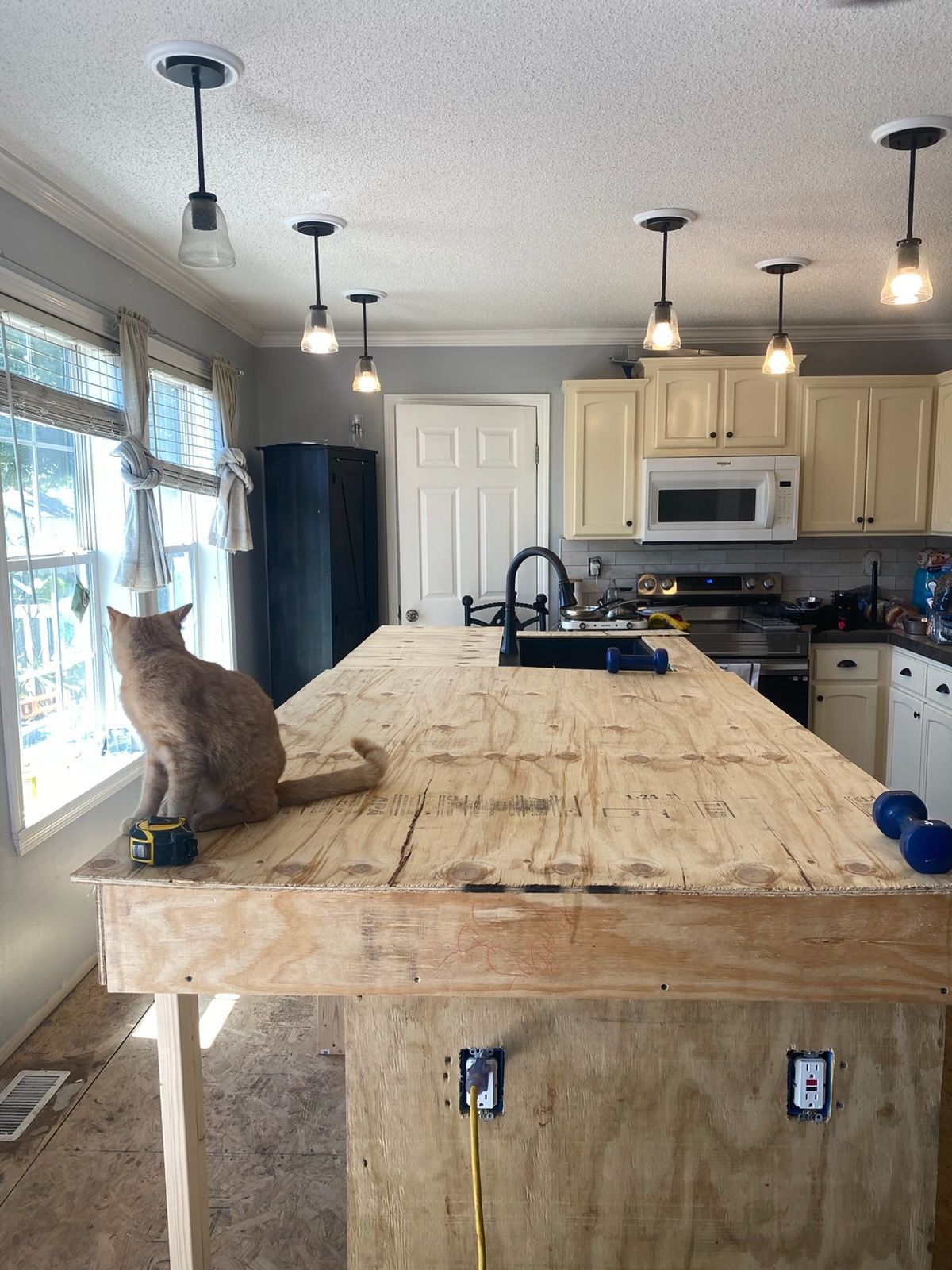 Kitchen under renovation with exposed plywood island, hanging lights, and a cat sitting by the window.