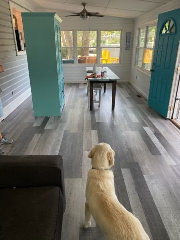Dog sitting in a bright sunroom with teal doors, gray floors, and a small table near the windows