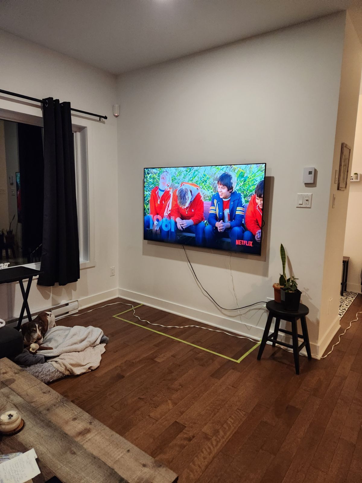 Télévision fixée au mur dans un coin de la pièce, avec une fenêtre à rideaux noirs et un parquet. Un chien se trouve en bas à gauche.