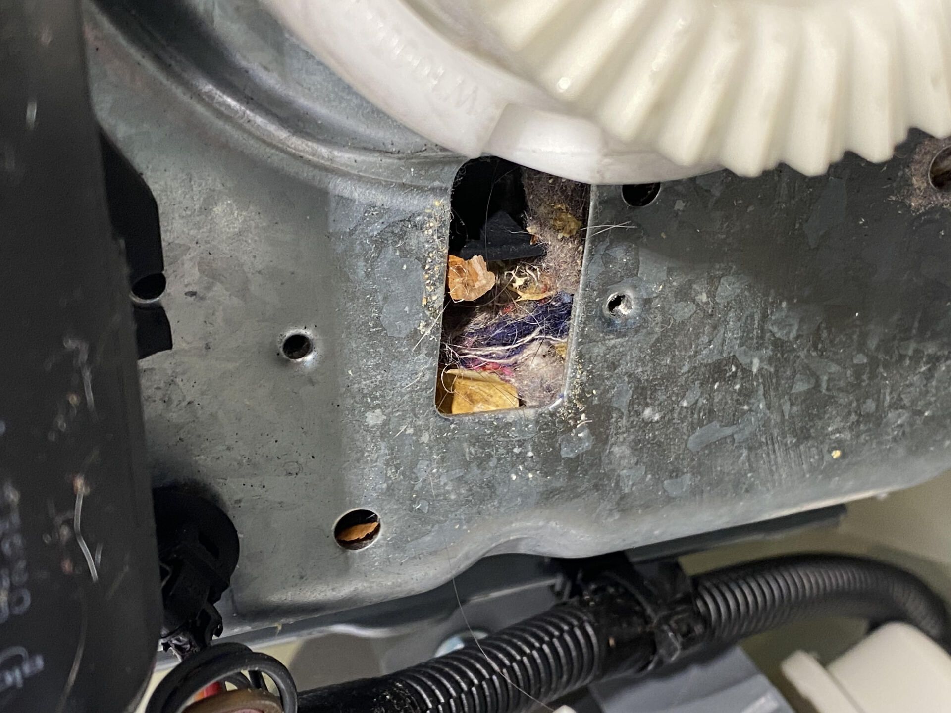 Close-up of a damaged metal panel on a machine, revealing chewed-up wiring and debris inside a rectangular cutout.