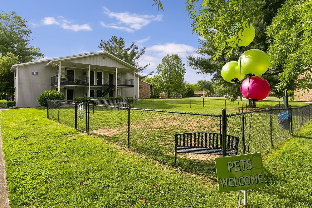 A fenced dog park with a bench in front of an apartment building, decorated with bright yellow and pink balloons.