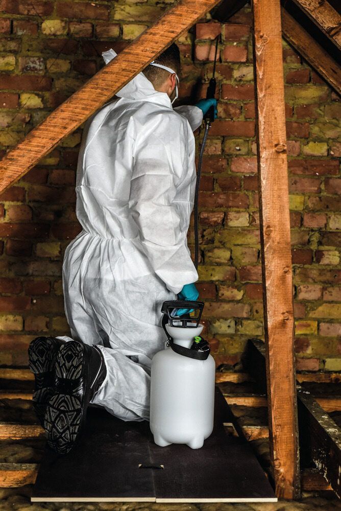A Man in a Protective Suit is Spraying a Brick Wall With a Spray Bottle — Lighthouse Pest Control In Ocean Shores, NSW
