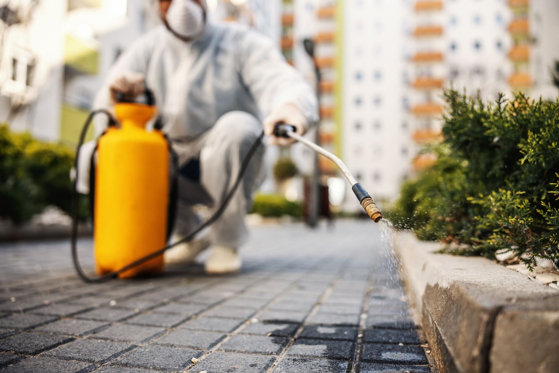 A Man in a Protective Suit is Spraying a Hose on a Sidewalk — Lighthouse Pest Control In Ocean Shores, NSW