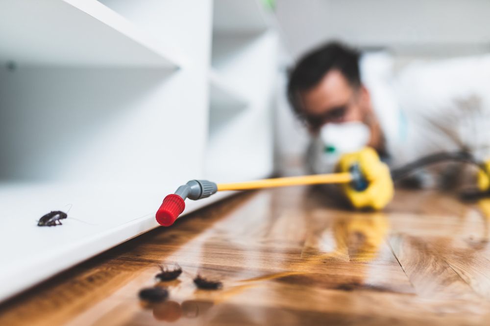 A Man is Spraying Insecticide on a Wooden Floor — Lighthouse Pest Control In Skinners Shoot, NSW